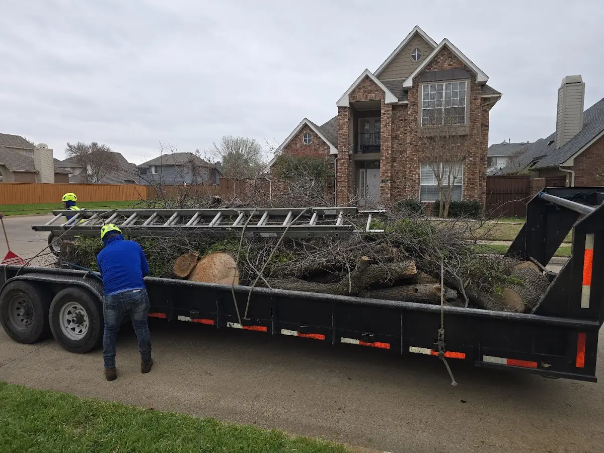 Expert Tree Pest Control with proper safety equipment in Glen Ullin